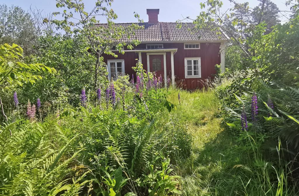 Säljarens sommarbild