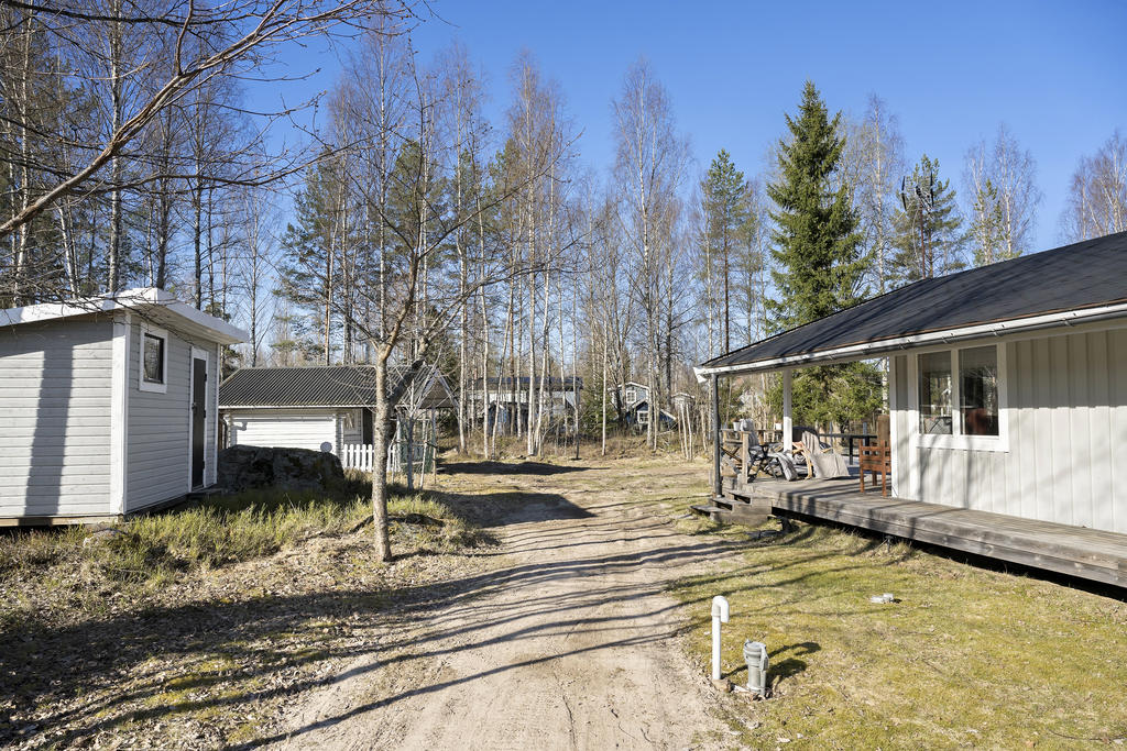 Trädgård