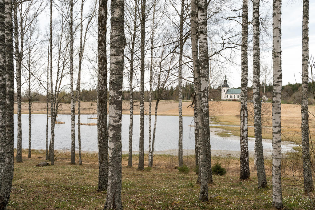 Från vägen nedanför huset
