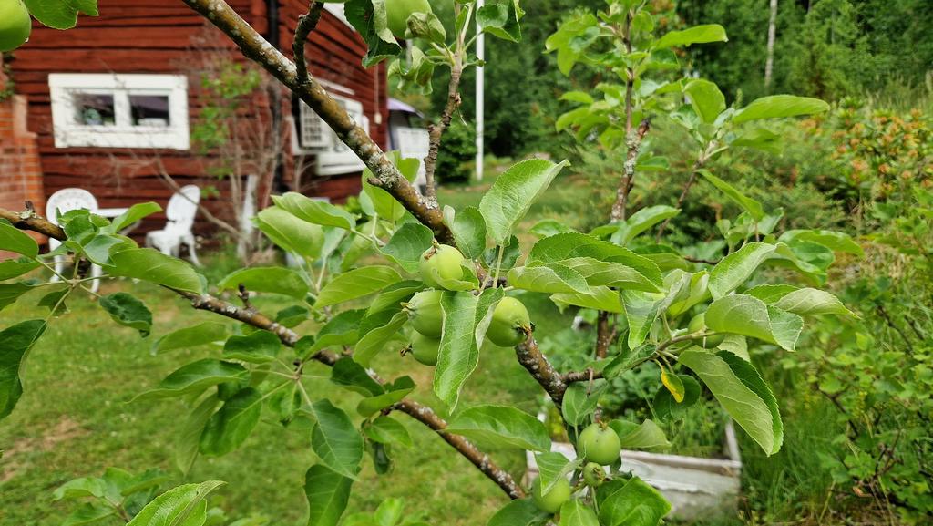 Detaljbild (säljarens egen)