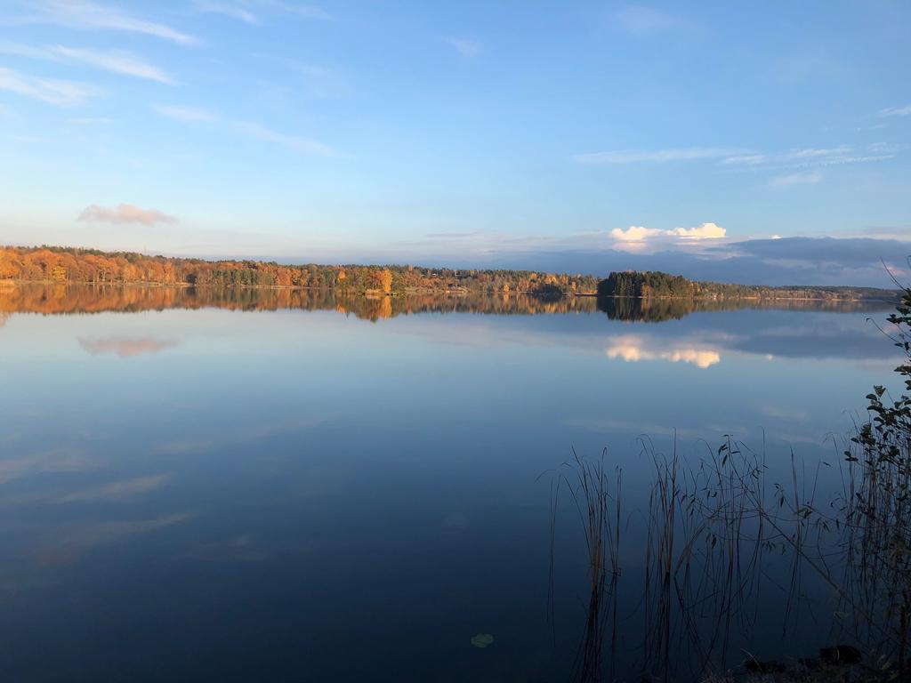 (Säljarens höstbild)