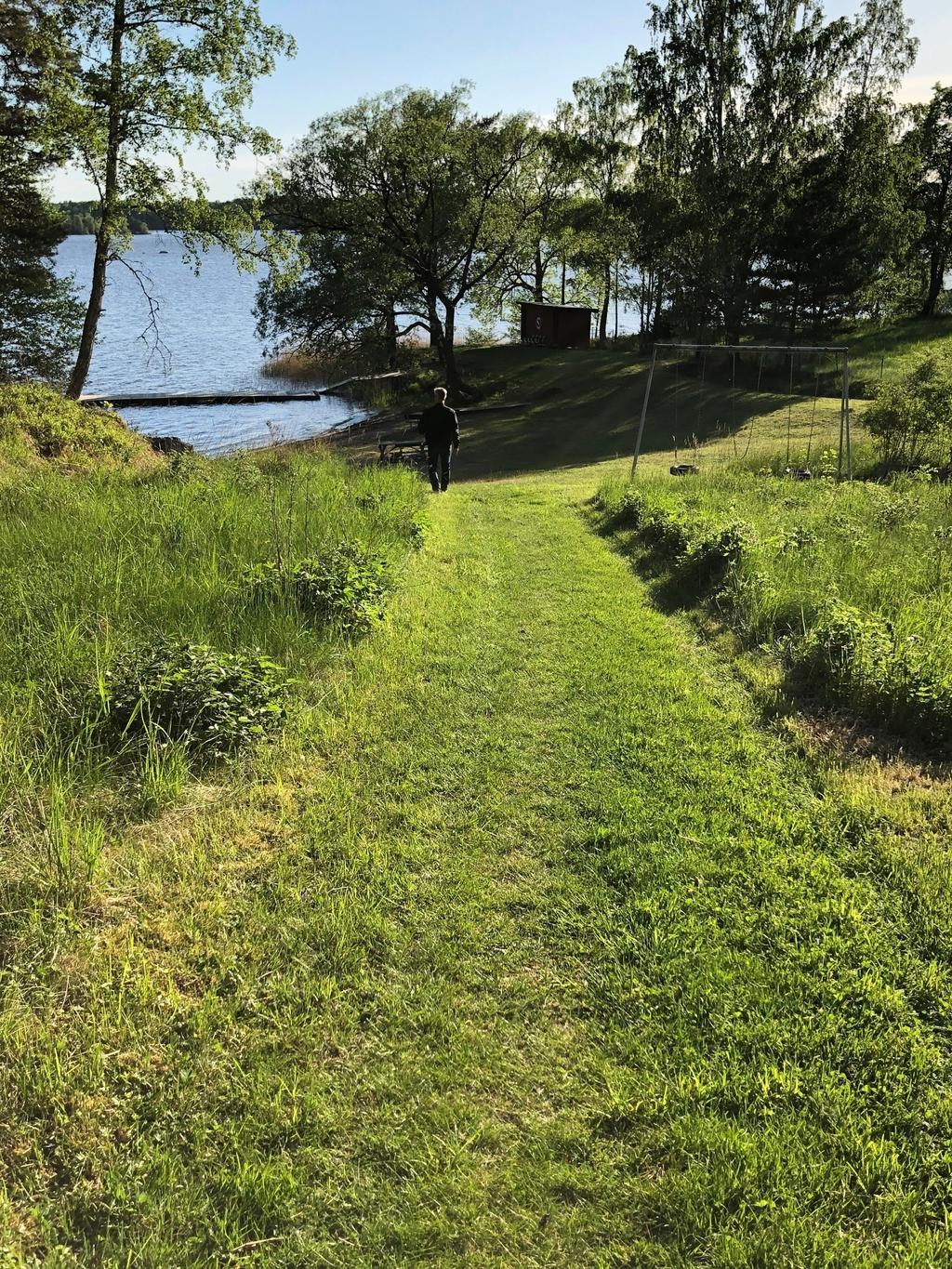 Vägen ner mot stranden (Säljarens sommarbild)