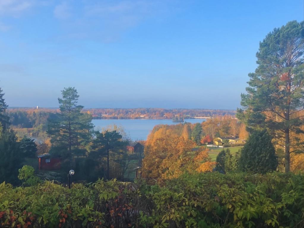 (Säljarens höstbild)
