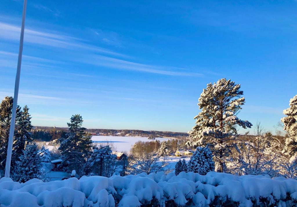 (Säljarens vinterbild)