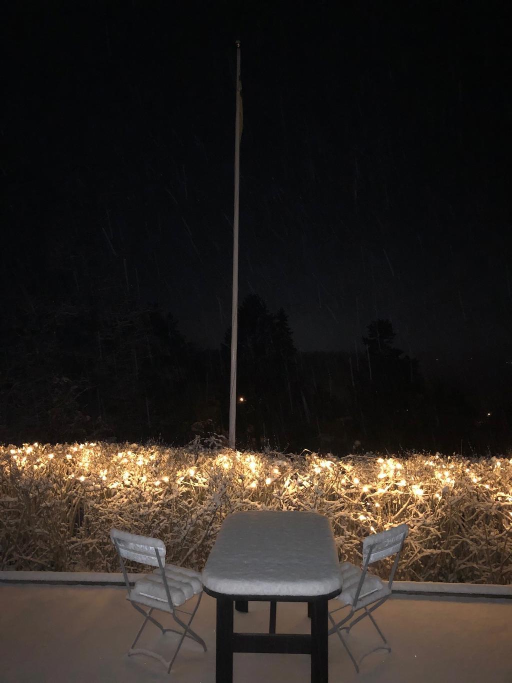 (Säljarens vinterbild)