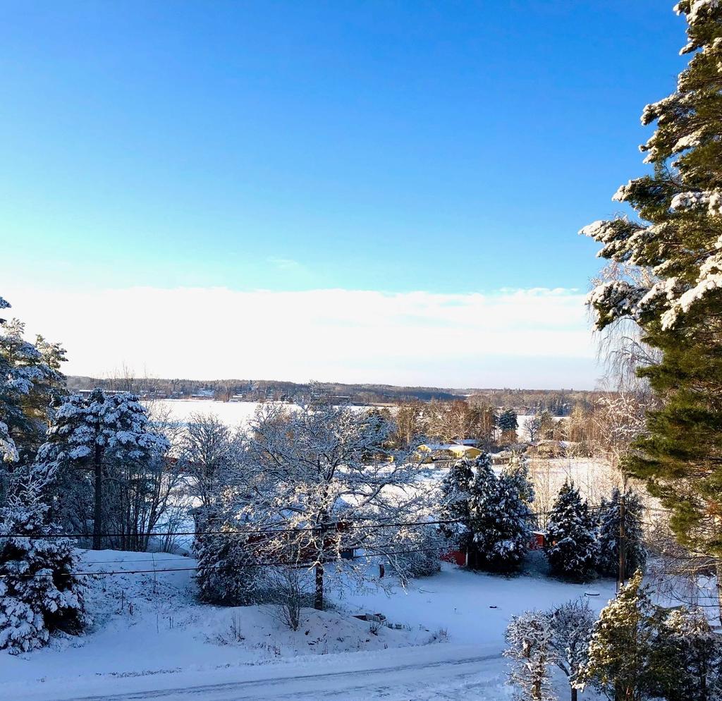 (Säljarens vinterbild)