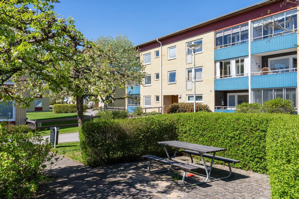 Gott om sociala ytor på innergården