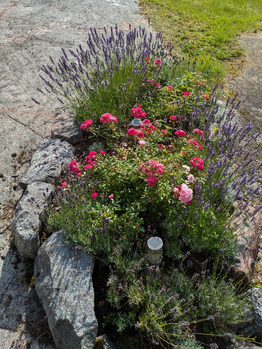 Säljarens bild: Vackra blomsterrabatter.