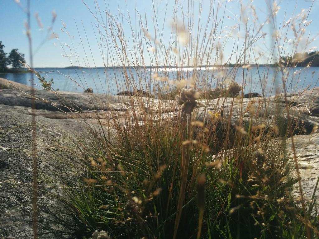 Säljarens bild: Badklippor i närheten.