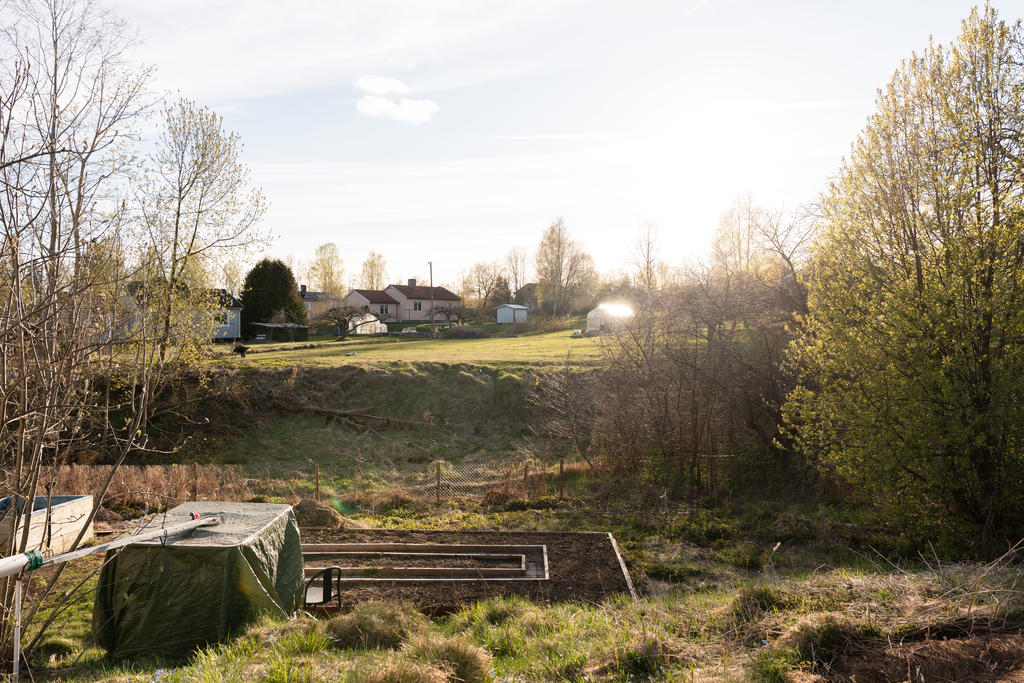 Trädgård
