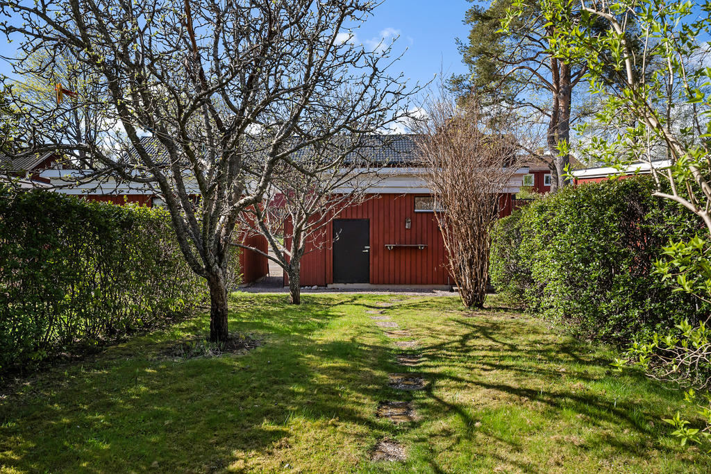 Trädgård