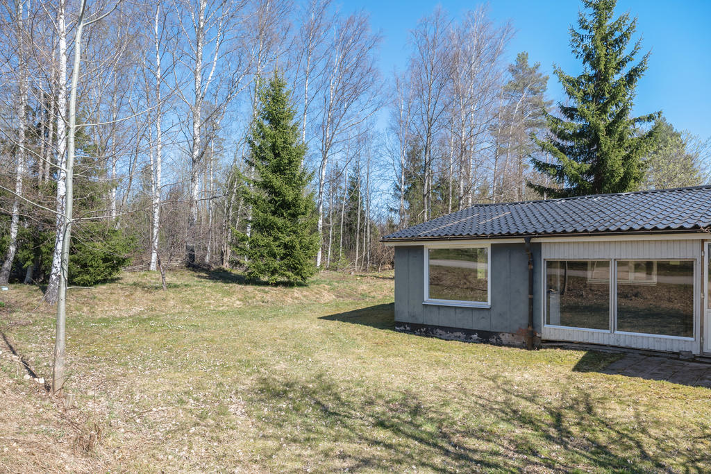 Trädgård