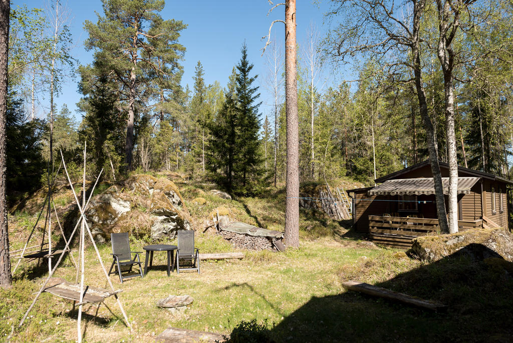 Trädgård.