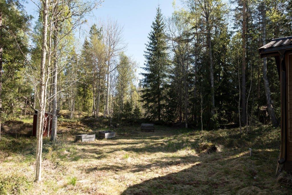 Trädgård.