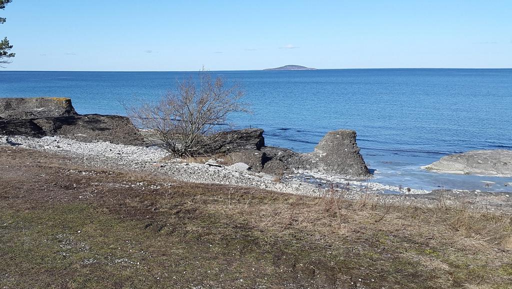 Kanske en dagsutflykt till Blå Jungfrun, båten går från Byxelkrok!