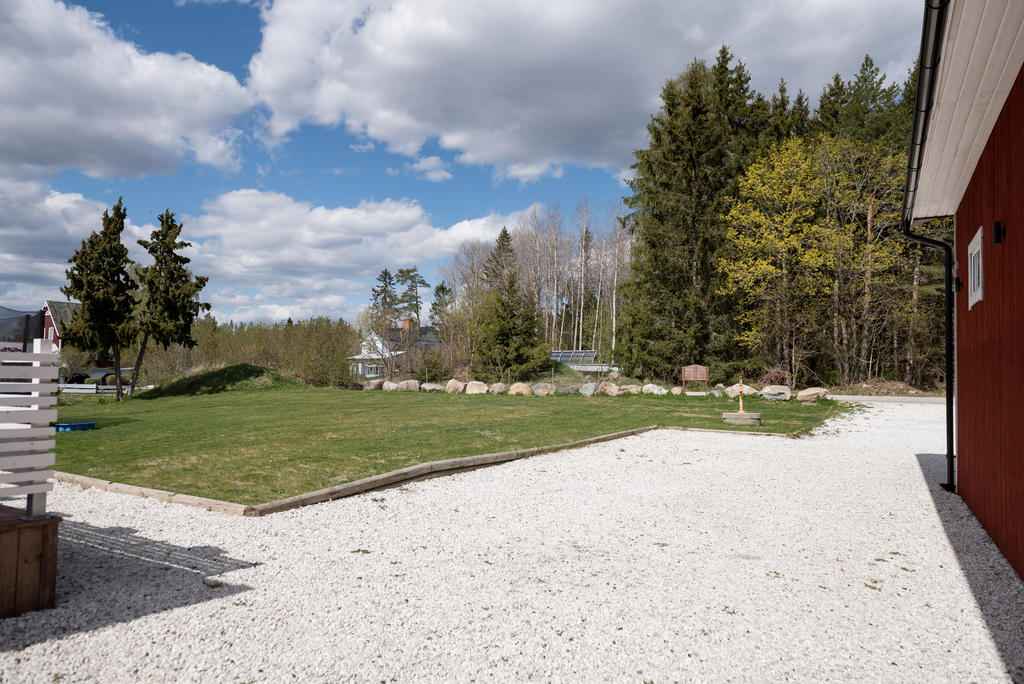 Trädgård.