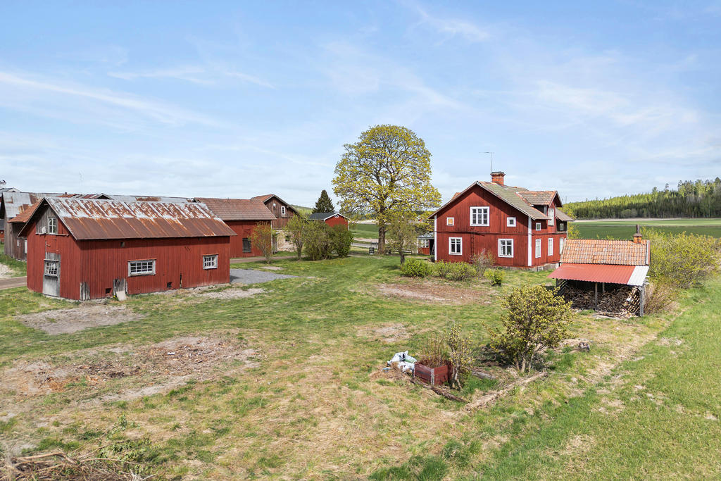 Trädgård