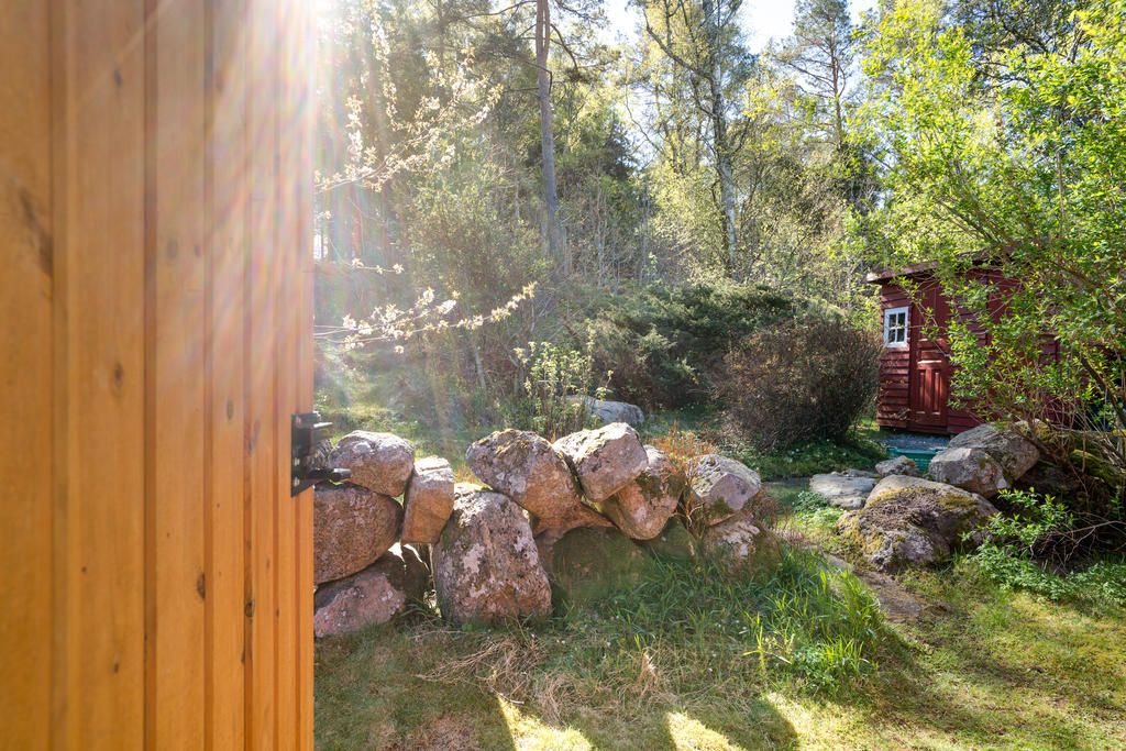 Grönskande baksida