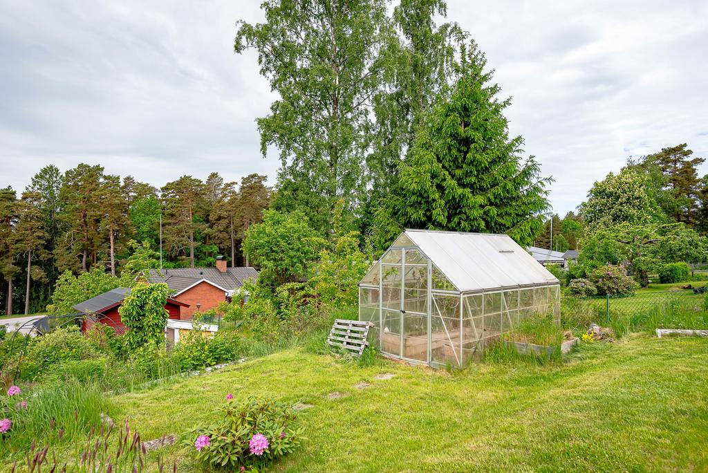 Växthus