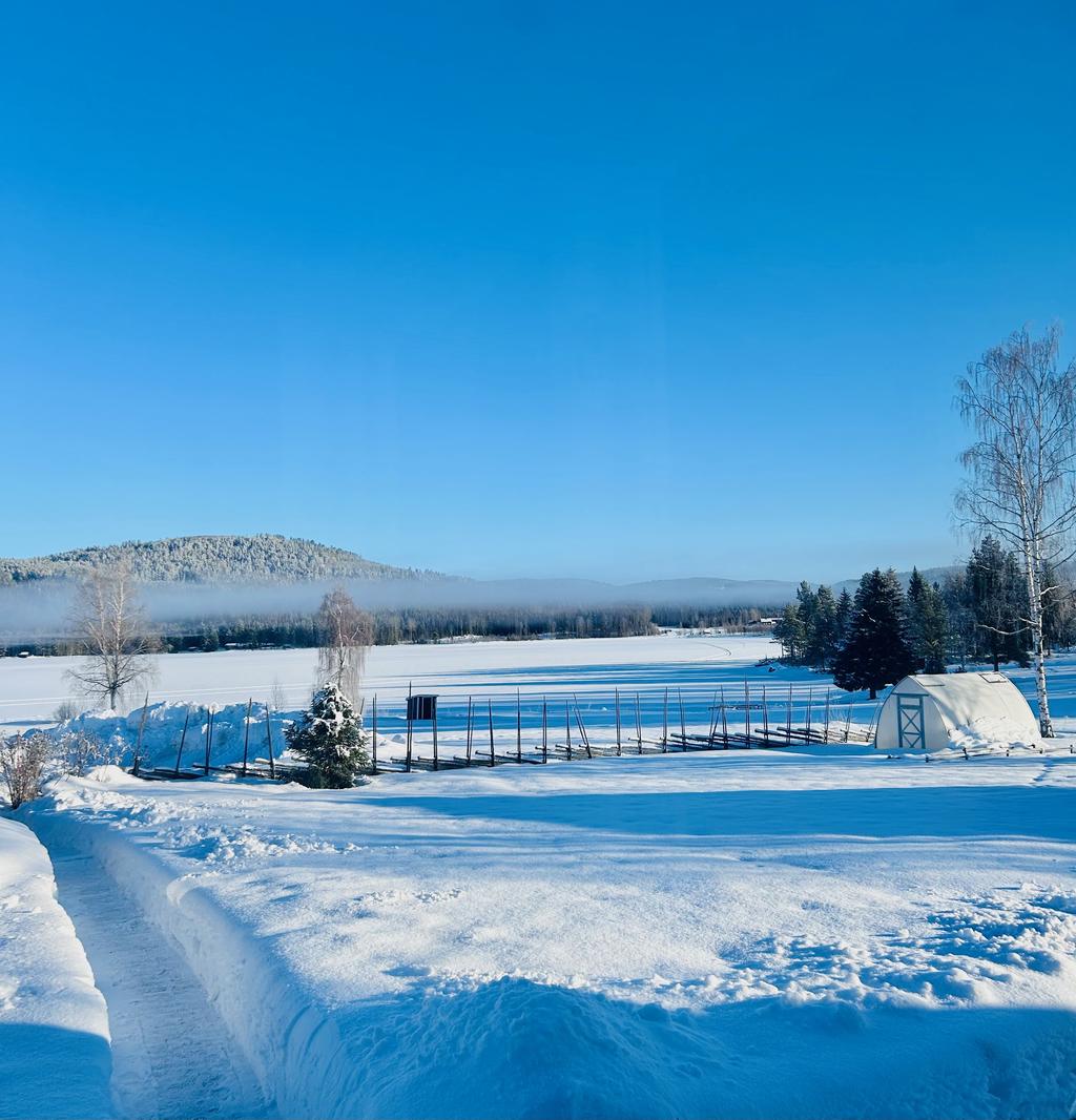 Vinterbild med vy över Istesjön