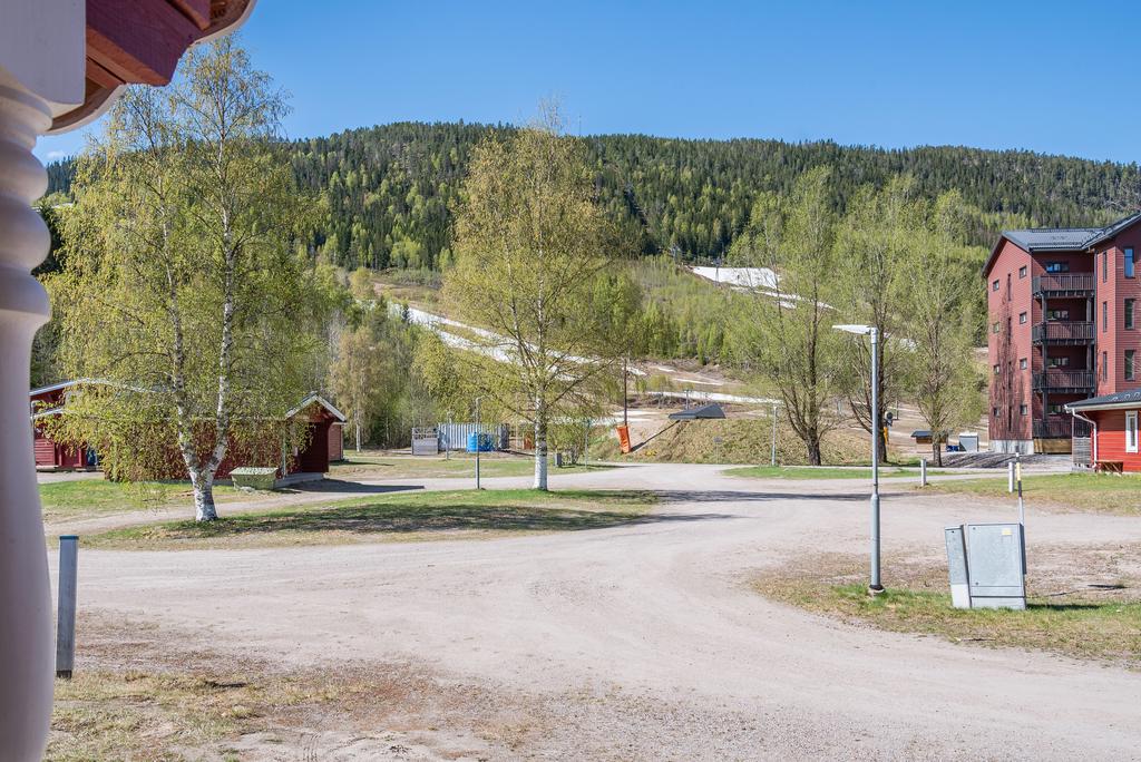 Mot backen