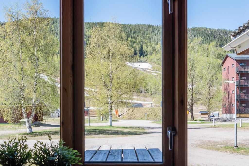Utsikt mot backen