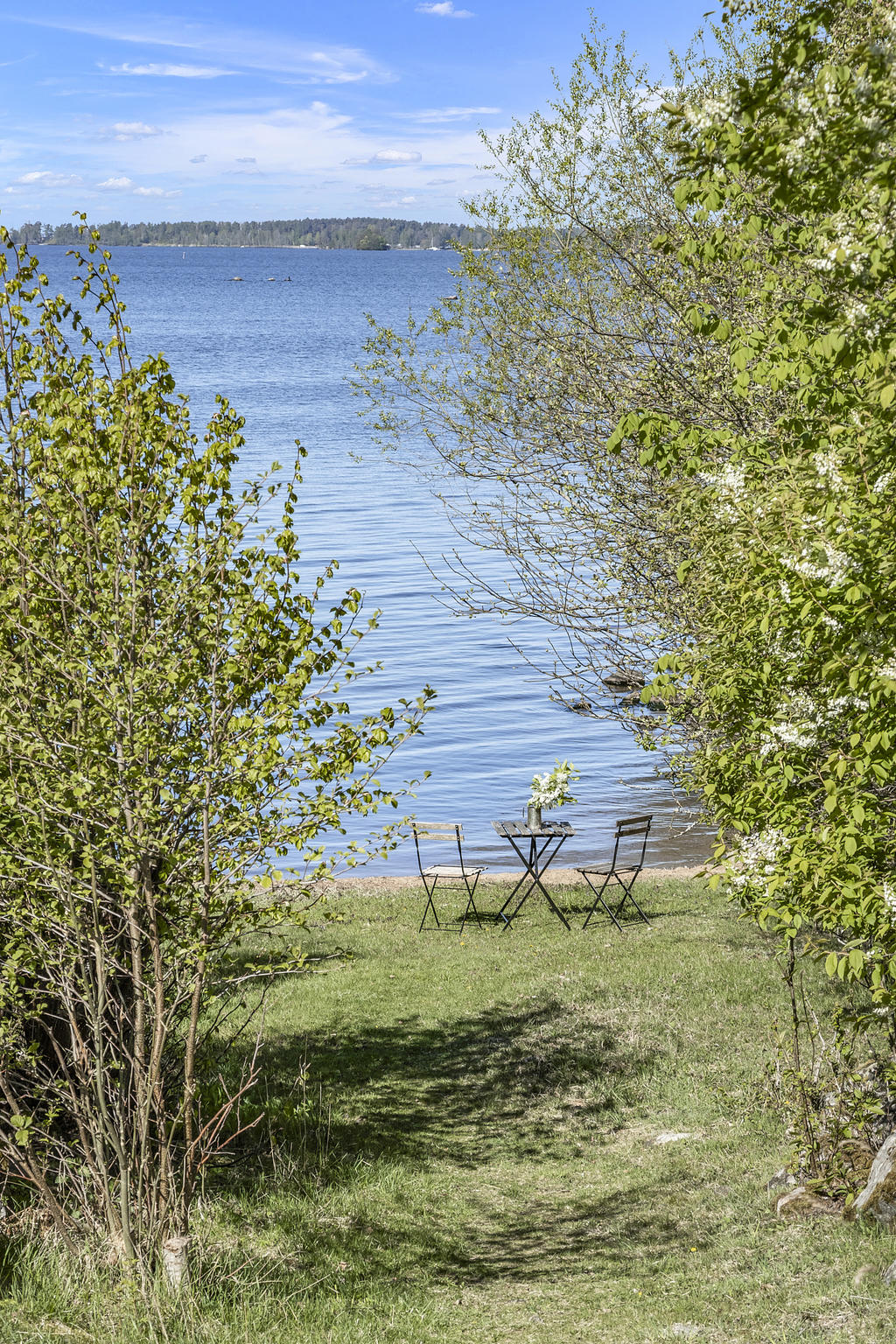 En fika i skogsgläntan vid sjön