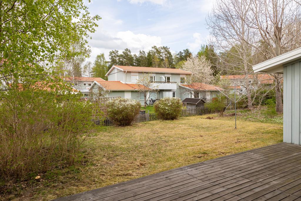 Trädgård