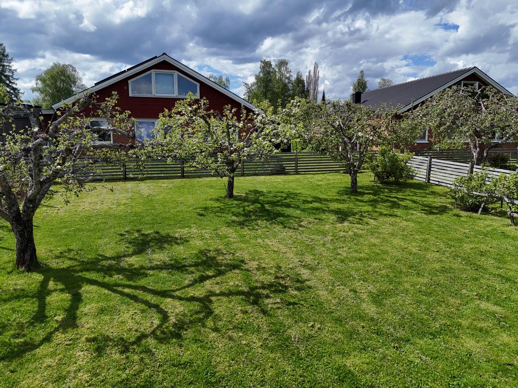 En mycket mysig trädgård med både äppel och päronträd. 