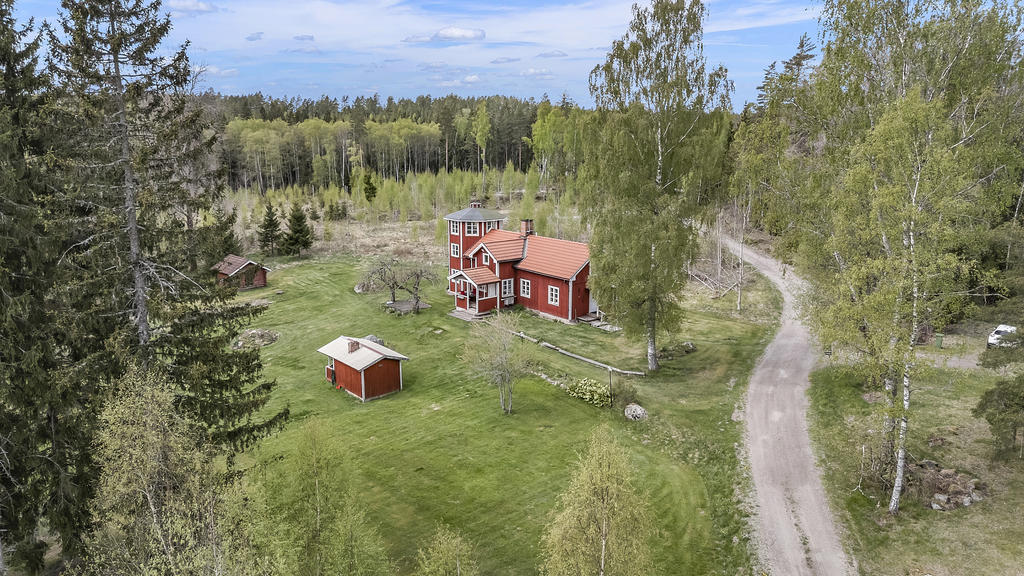 Vacker skogsglänta