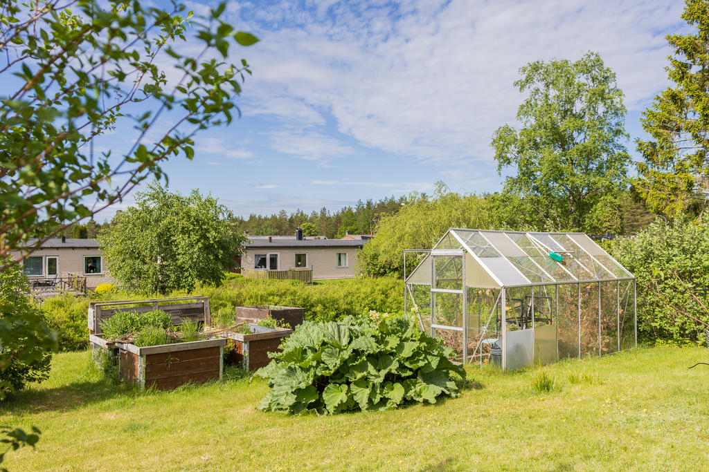 Trädgården bjuder på goda möjligheter att odla i växthuset och i pallkragar