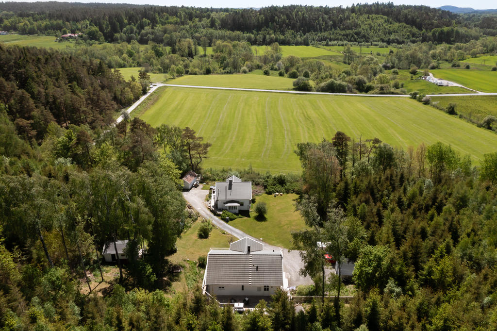 Grönskande omgivningar