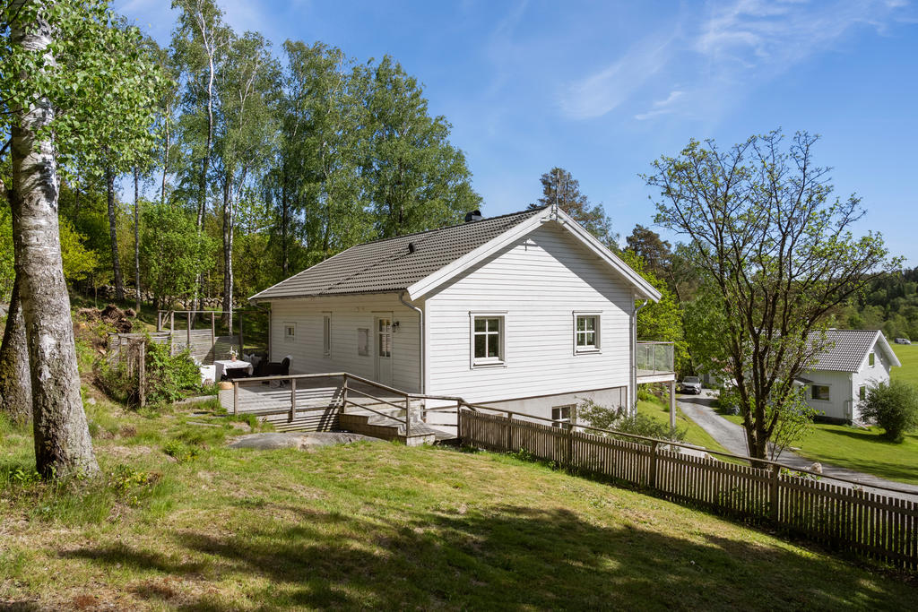 Björkdunge och gräsytor med utvecklingspotential för den trädgårdsintresserade.