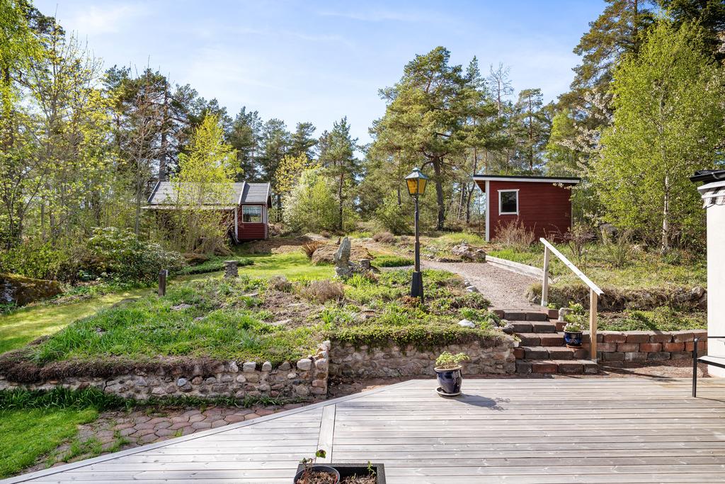 Trädgård