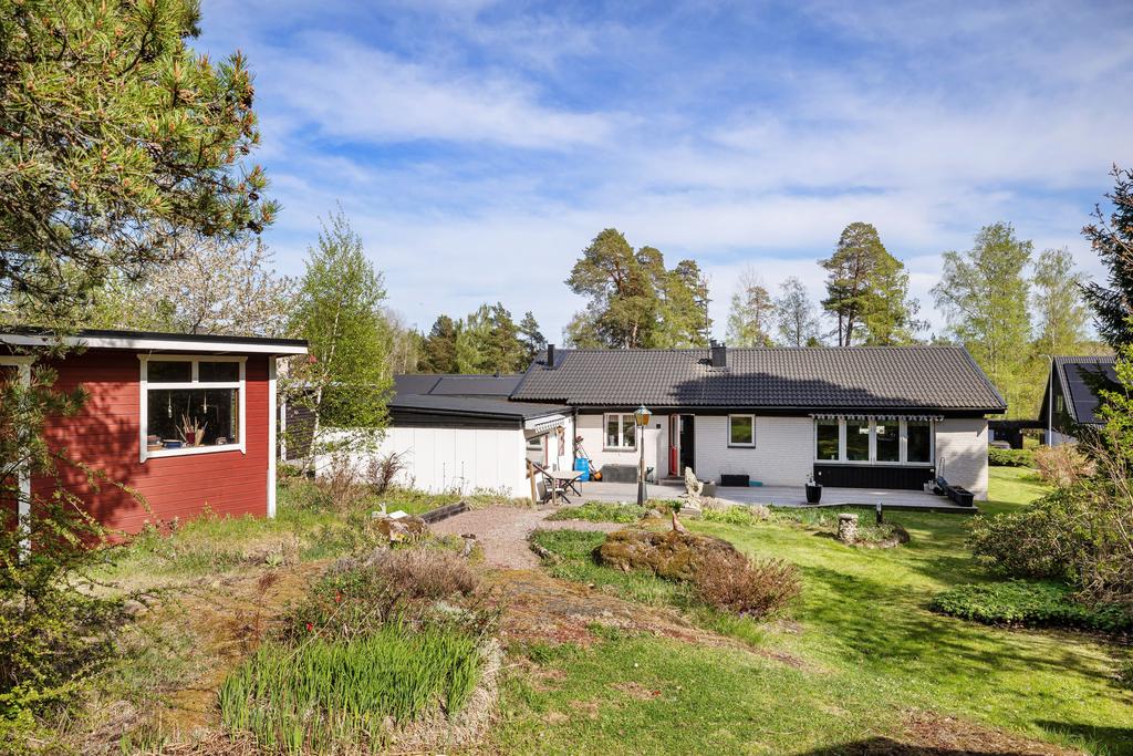 Trädgård