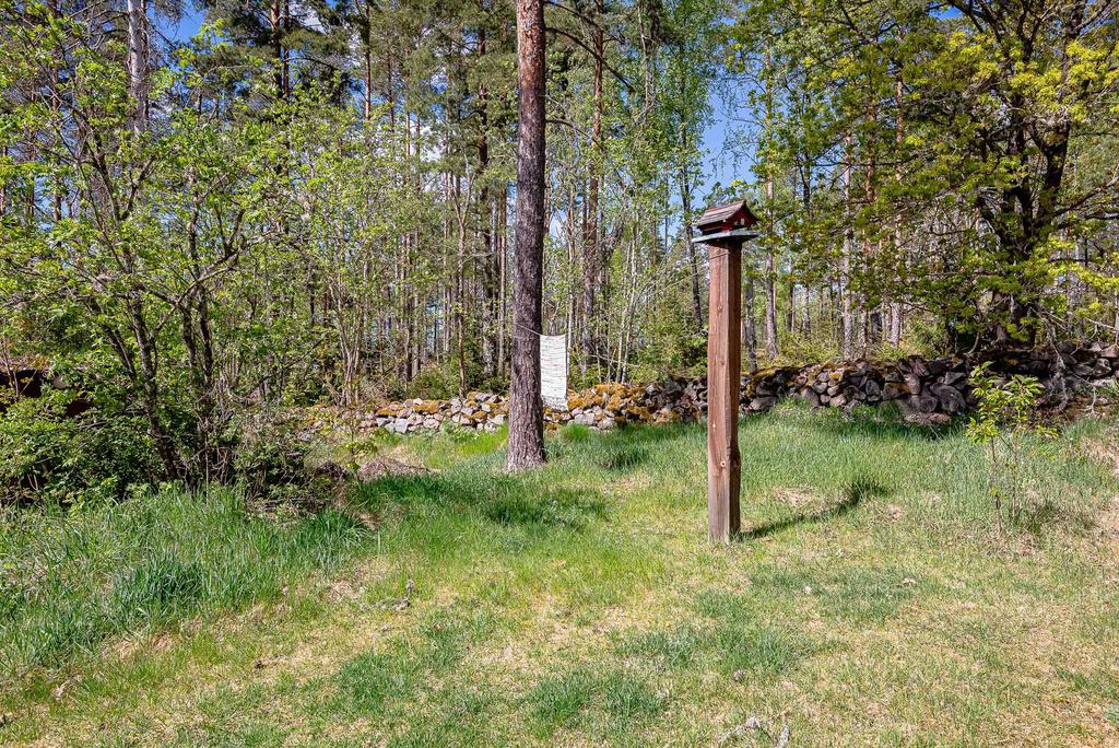 Stenmur mot skogen