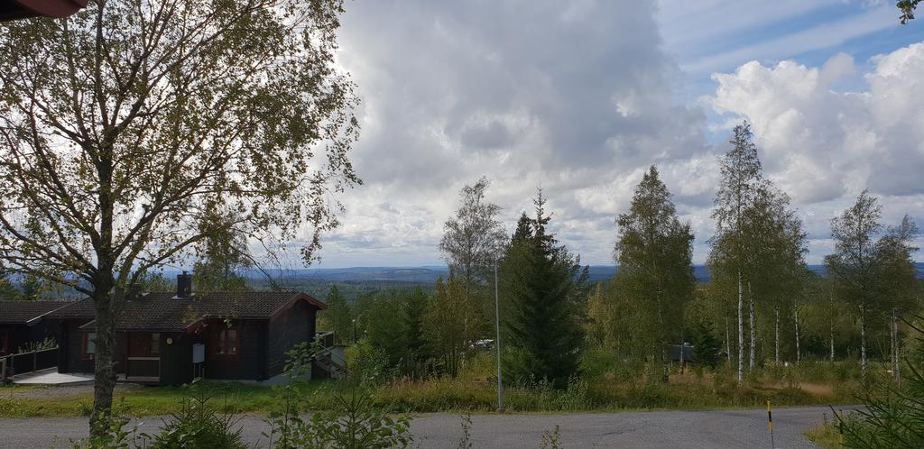 Områdesfoto från säljaren