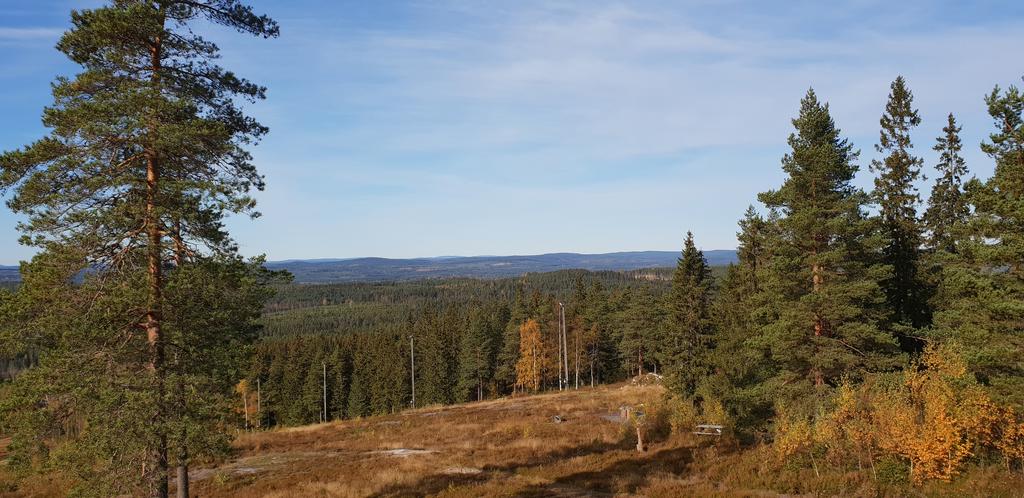 Områdesfoto från säljaren