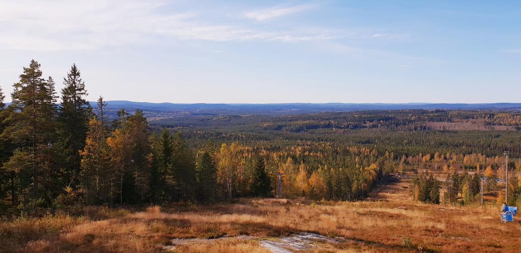 Områdesfoto från säljaren