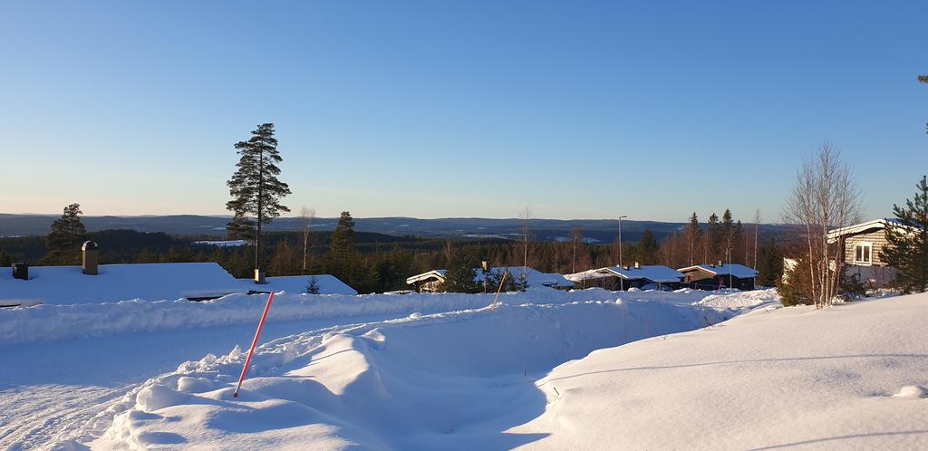 Områdesfoto från säljaren