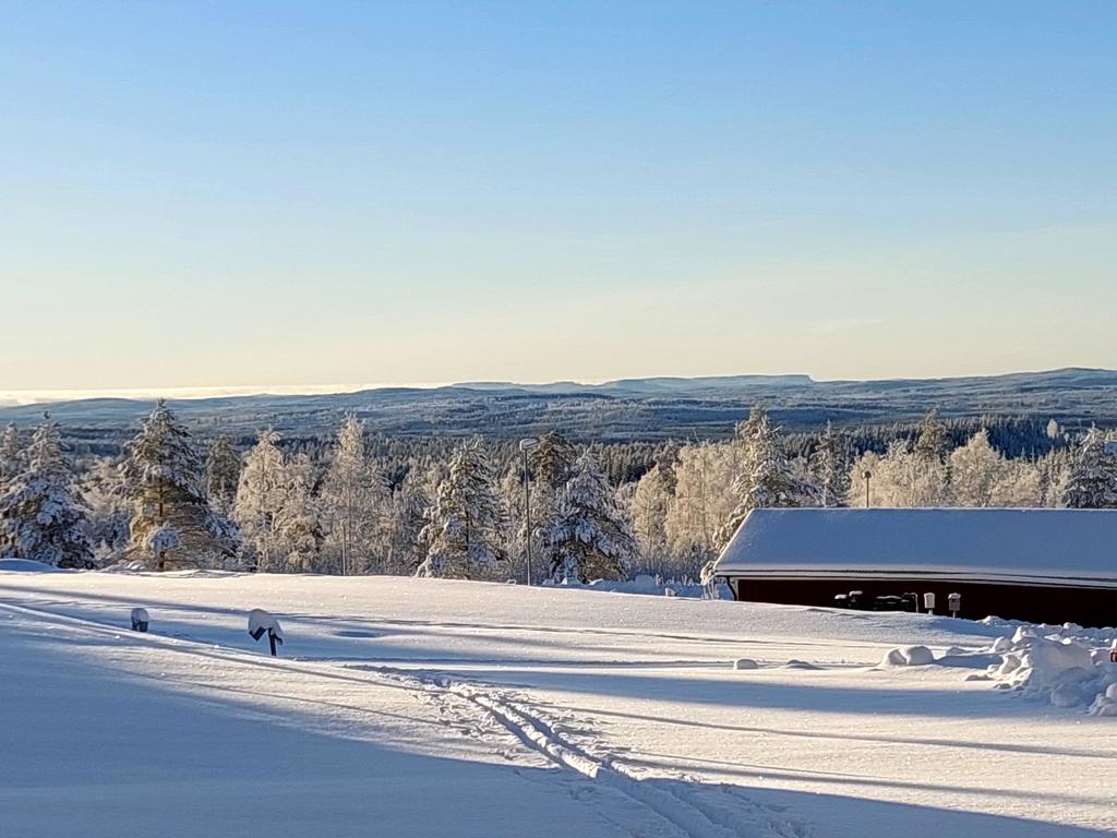 Områdesfoto från säljaren
