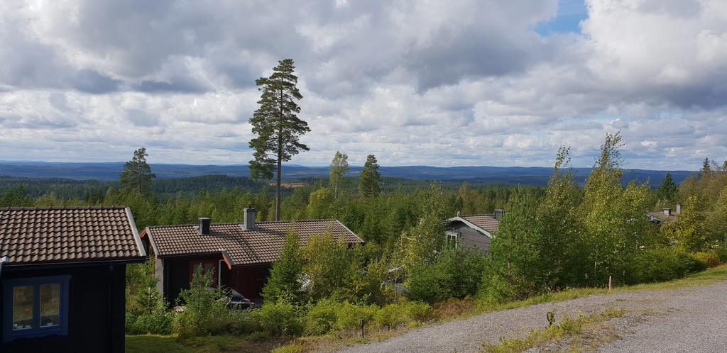Områdesfoto från säljaren