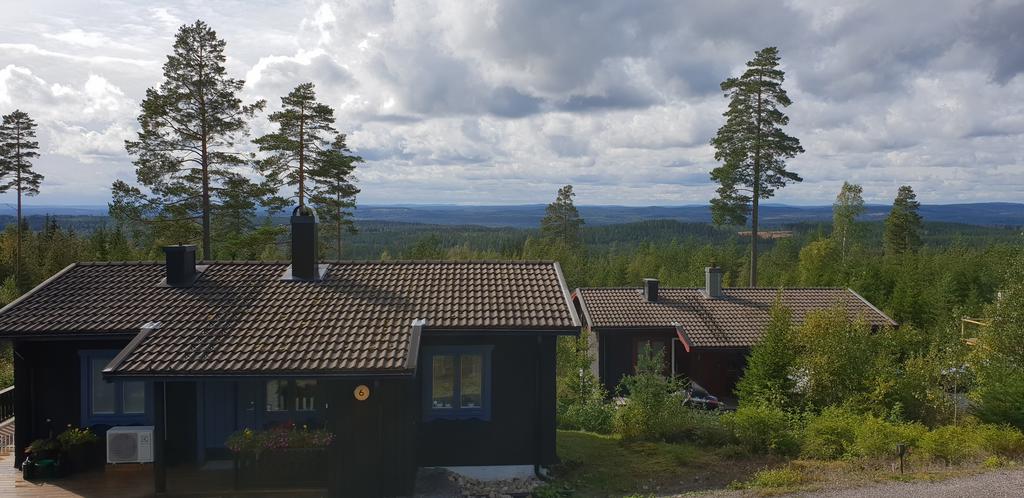 Områdesfoto från säljaren