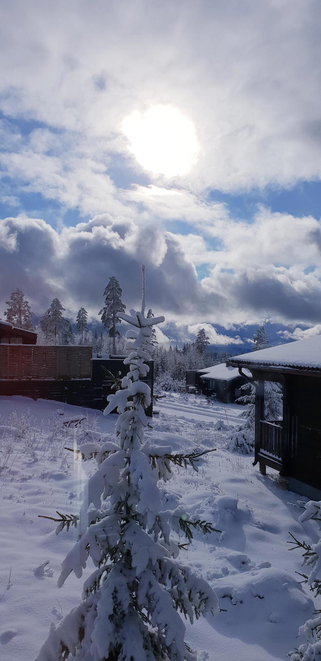 Områdesfoto från säljaren
