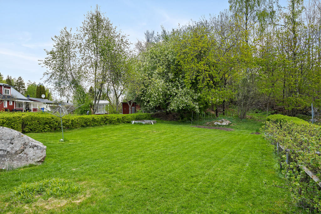 Trädgård