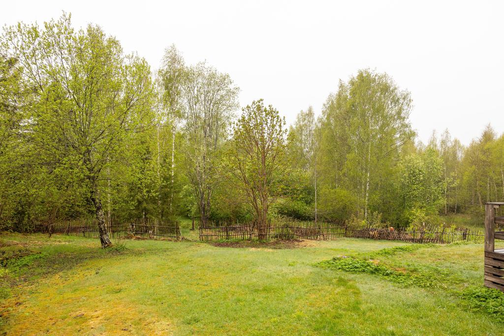 Trädgård på husets baksida