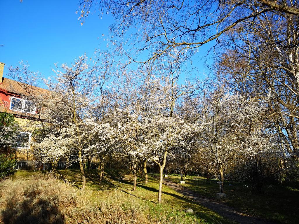 Säljarens bild