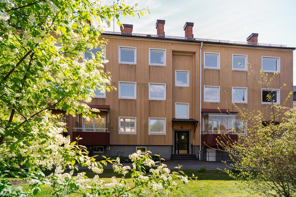 Föreningens innergård
