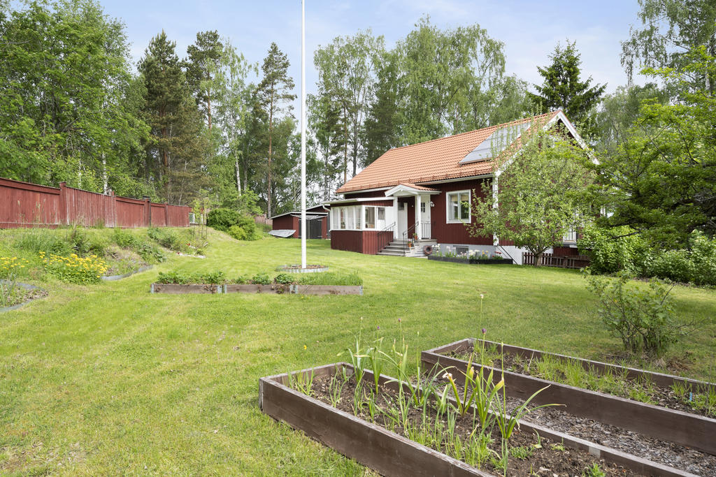 Trädgård