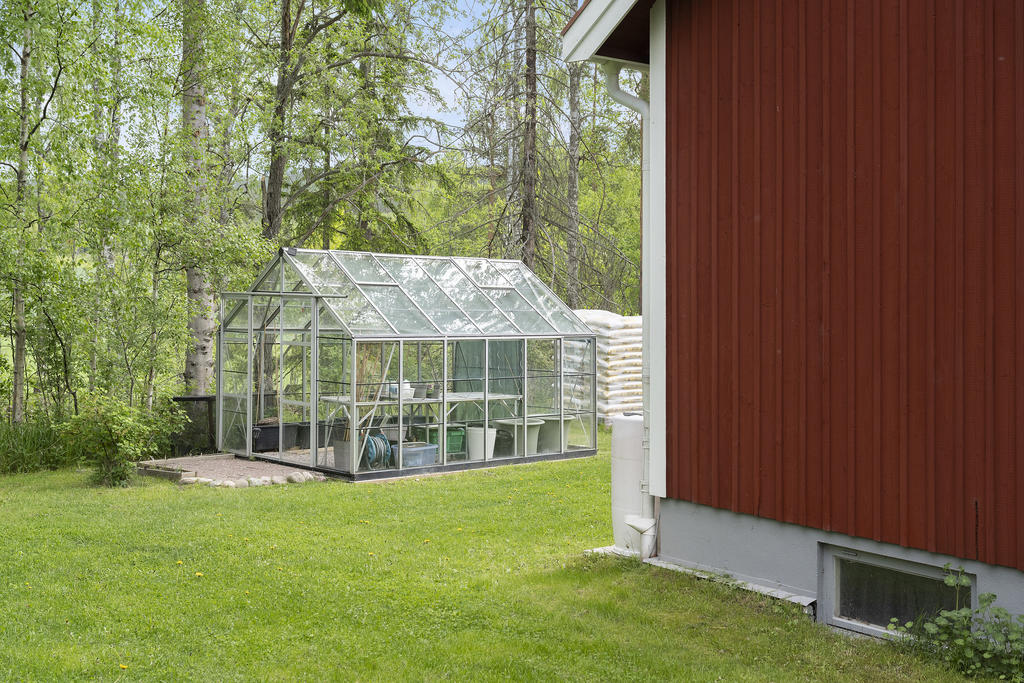Trädgård